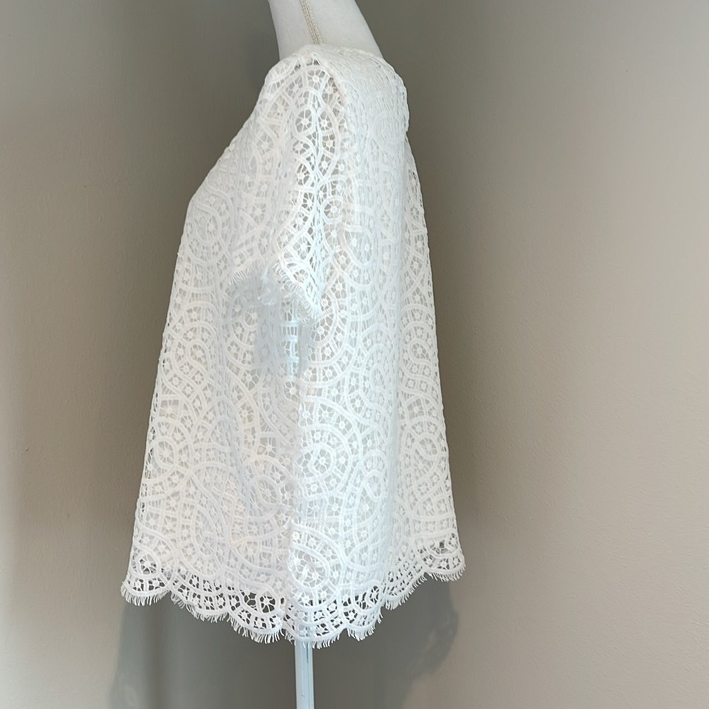 Philosophy | Lined Crew Neck Lace Short Sleeve Top | White | XL - Picture 4 of 7